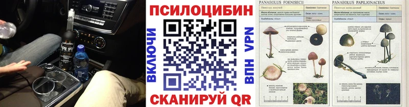 Галлюциногенные грибы ЛСД  блэк спрут ССЫЛКА  Орёл 